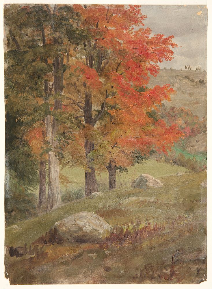 Woods in Autumn, Frederic Edwin Church
