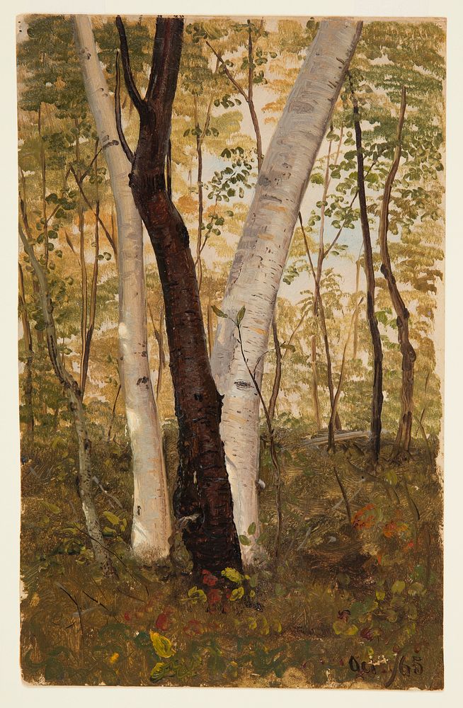 In the Woods, Hudson, New York, Frederic Edwin Church