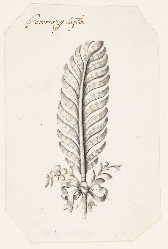 Design for a Feather Headdress