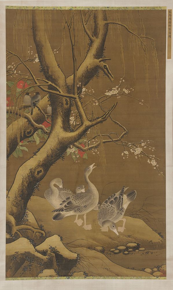 A group of geese under snow-covered willow and blossoming trees
