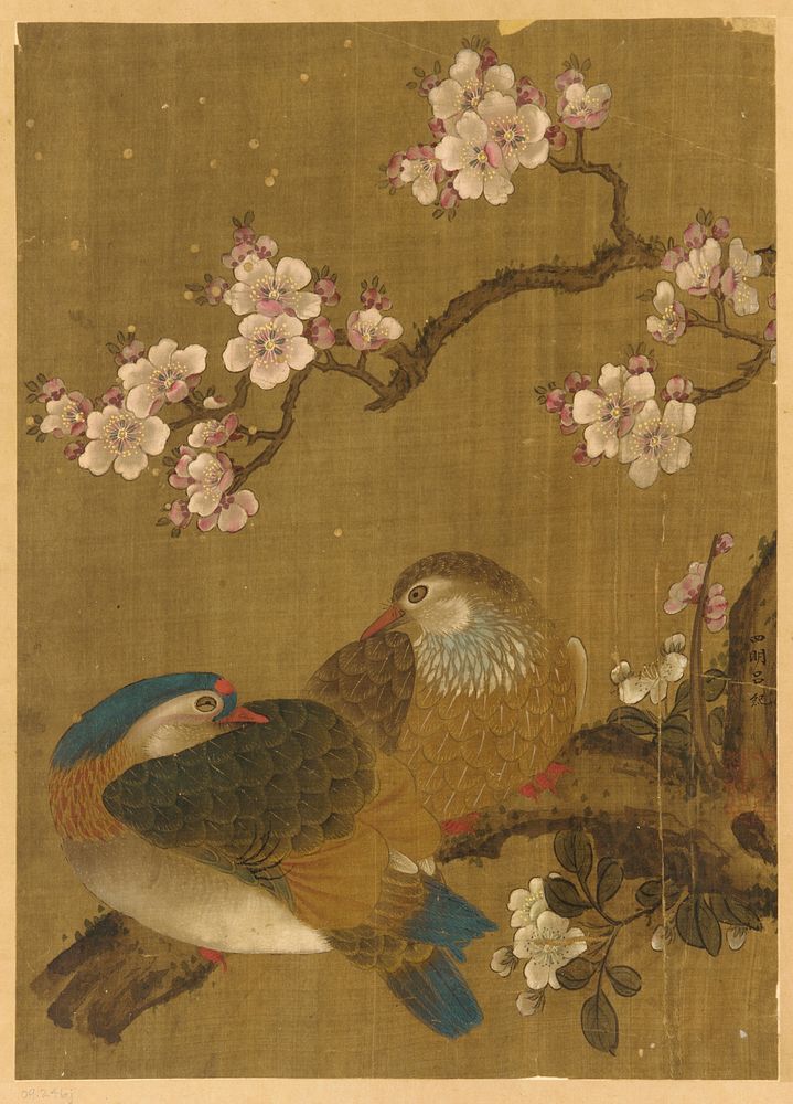 Birds and plum-blossoms