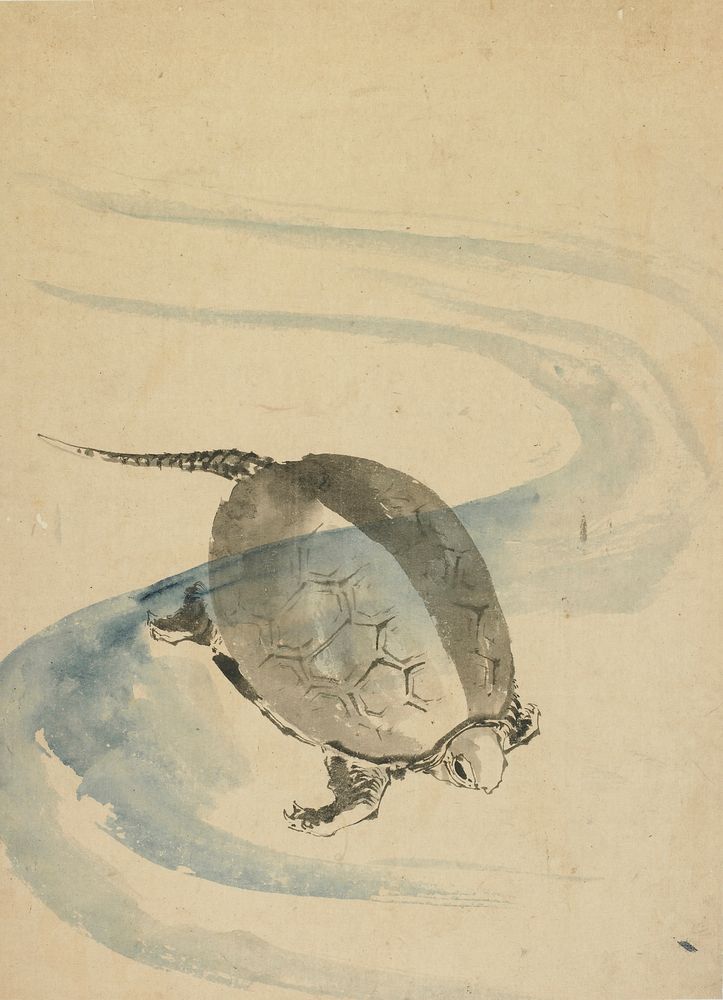 A Tortoise by Katsushika Hokusai