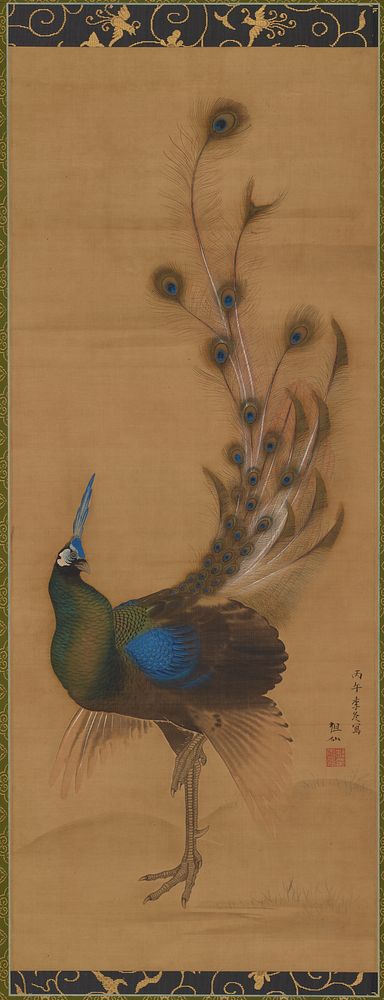 Peacock, Mori Sosen