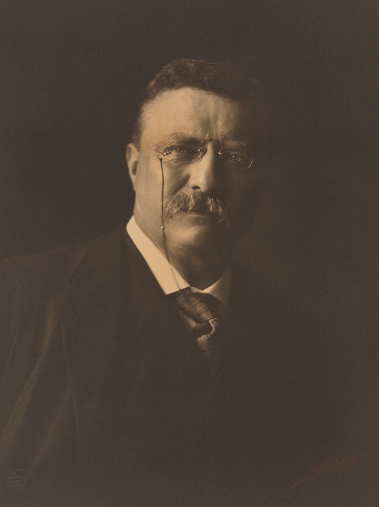 Theodore Roosevelt