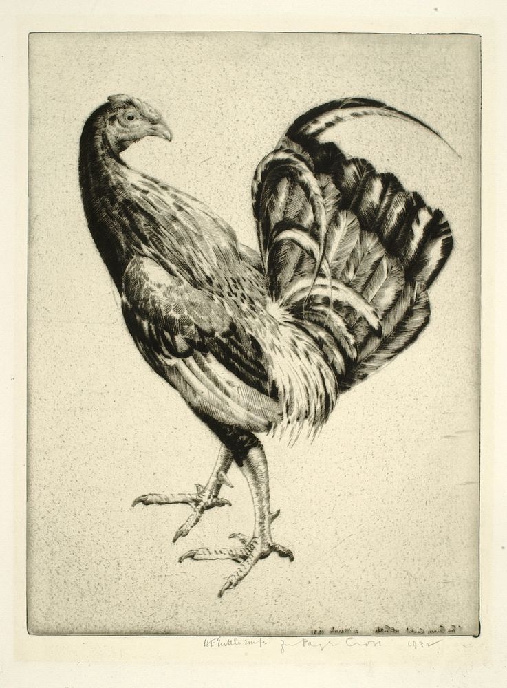 The Carney Cock, Emerson Tuttle