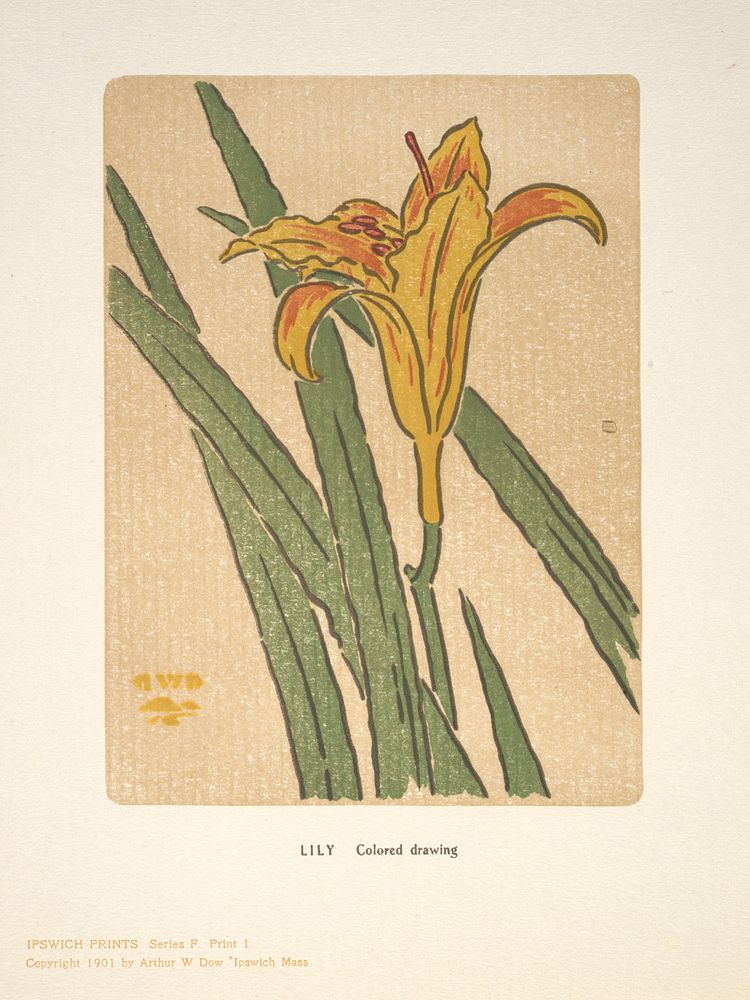 Ipswich Prints: Lily by Arthur Wesley Dow