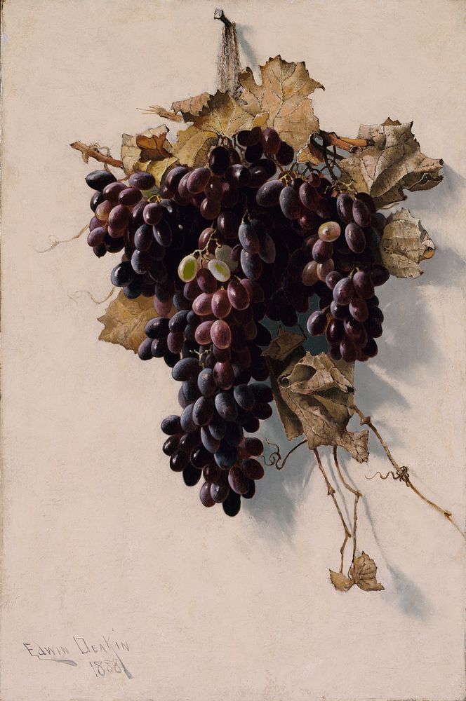 Still Life with Grapes, Edwin Deakin