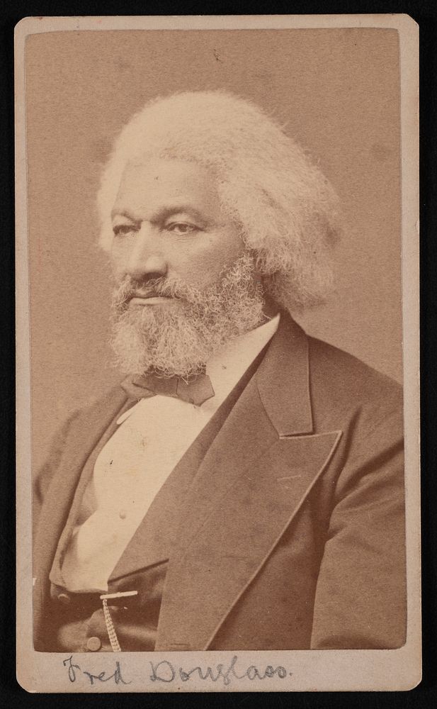 Portrait of Frederick Douglass (1817?-1895)