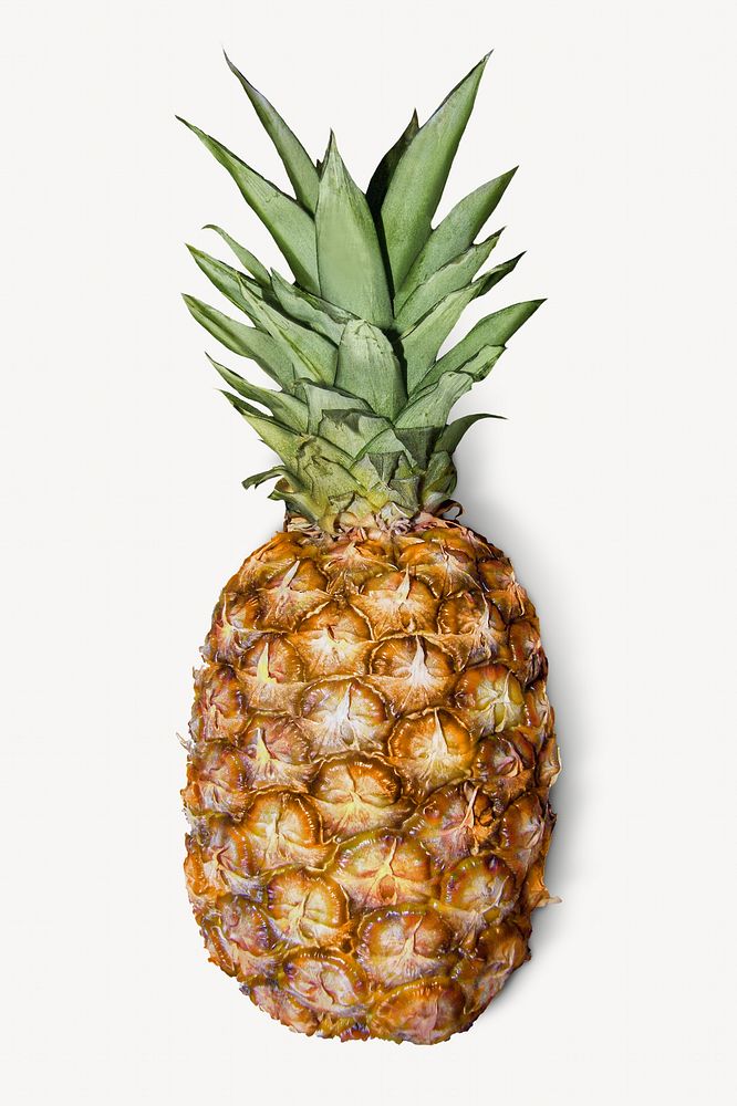 Pineapple, fruit isolated design