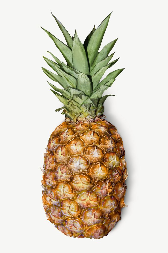 Pineapple, fruit collage element psd