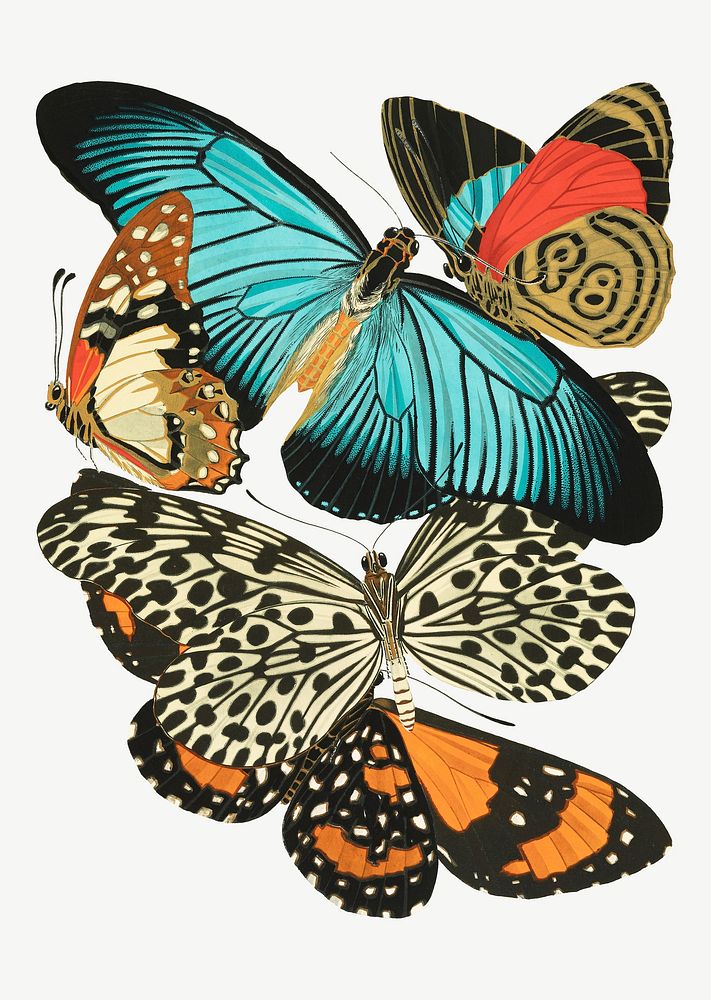 E.A. S&eacute;guy's butterfly, vintage insect collage element set psd. Original public domain image from Biodiversity…