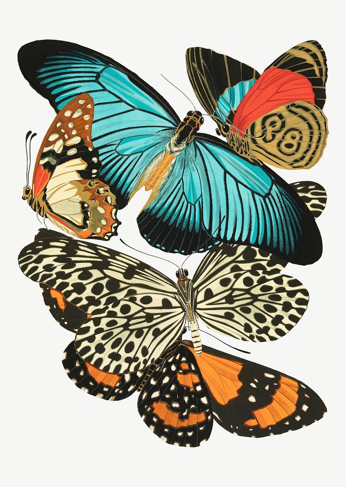 E.A. Séguy's butterfly, vintage insect collage element set psd. Original public domain image from Biodiversity Heritage…