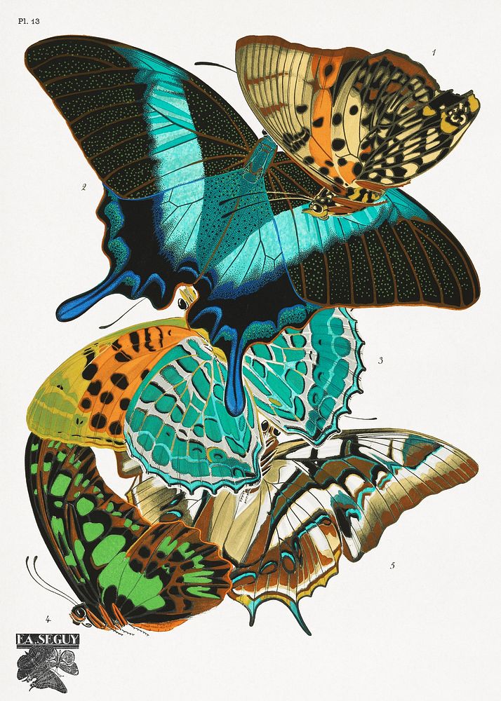 E.A. Séguy's vintage butterflies (1925) insect illustration. Original public domain image from Biodiversity Heritage…