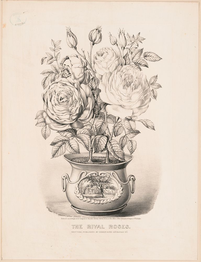 The rival roses (1873) by Currier & Ives