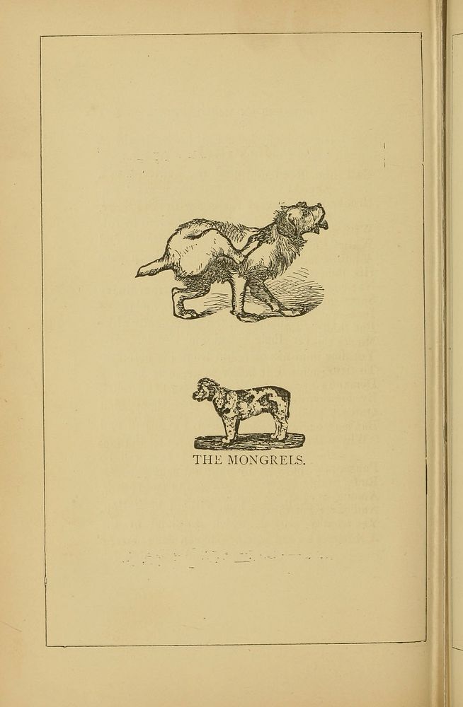 Vintage dog icon illustration