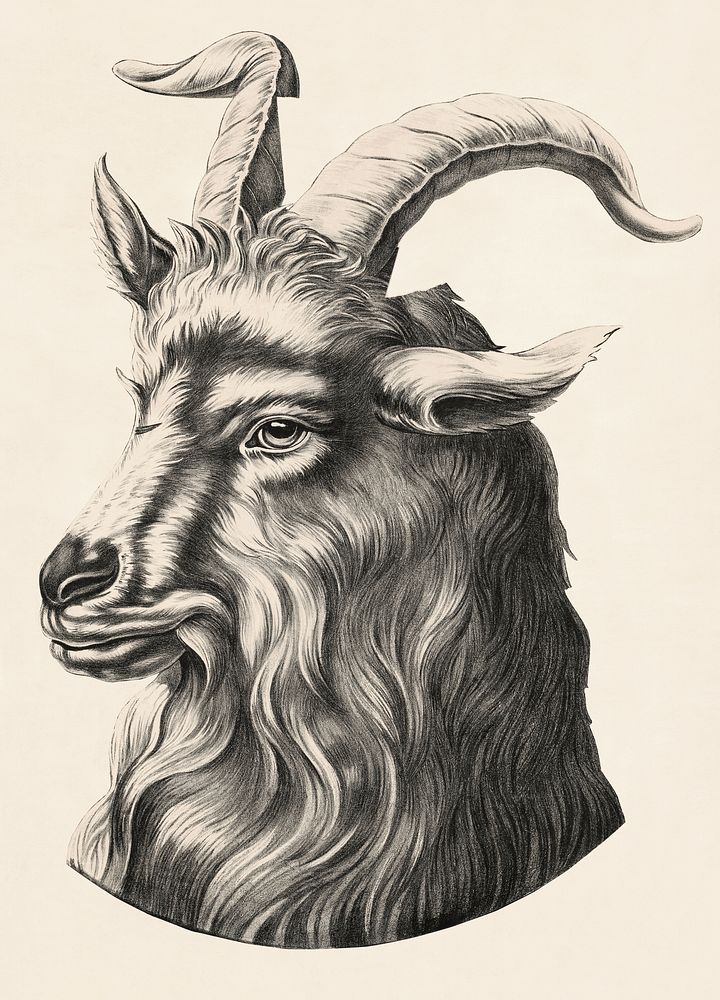 Goat's head representing bock beer (1880). Original public domain image from the Library of Congress. Digitally enhanced by…