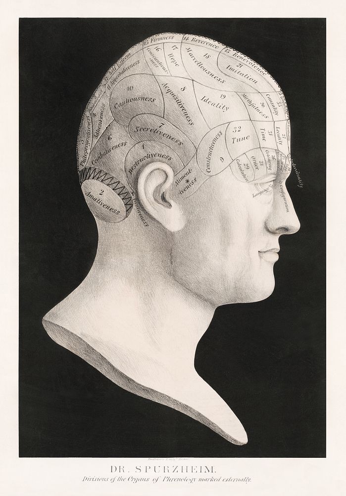 Dr. Spurzheim--divisions of the organs of phrenology marked externally (1834) by Pendleton's Lithography. Original public…