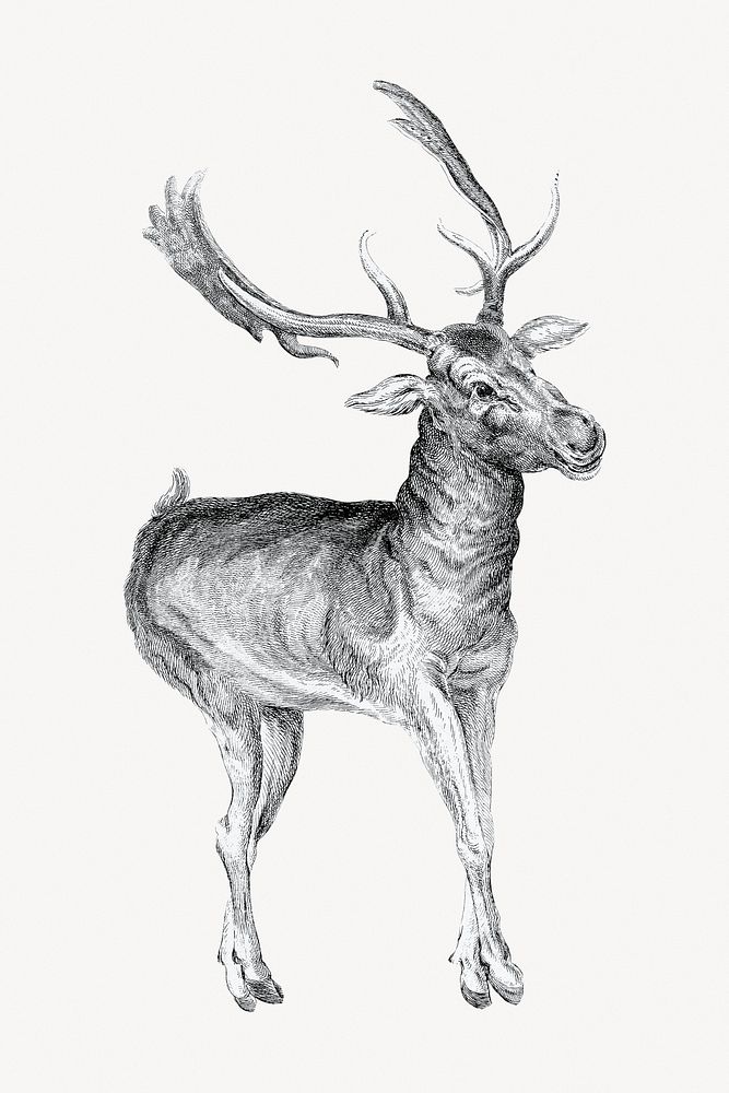 Deer illustration. Remixed by rawpixel.