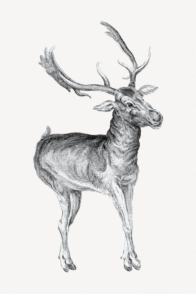 Deer clipart psd. Remixed by rawpixel.