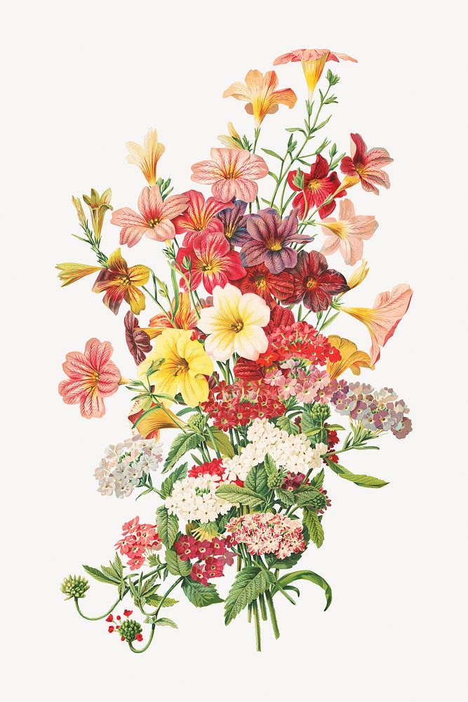 Red flower bouquet, vintage botanical illustration.   Remastered by rawpixel