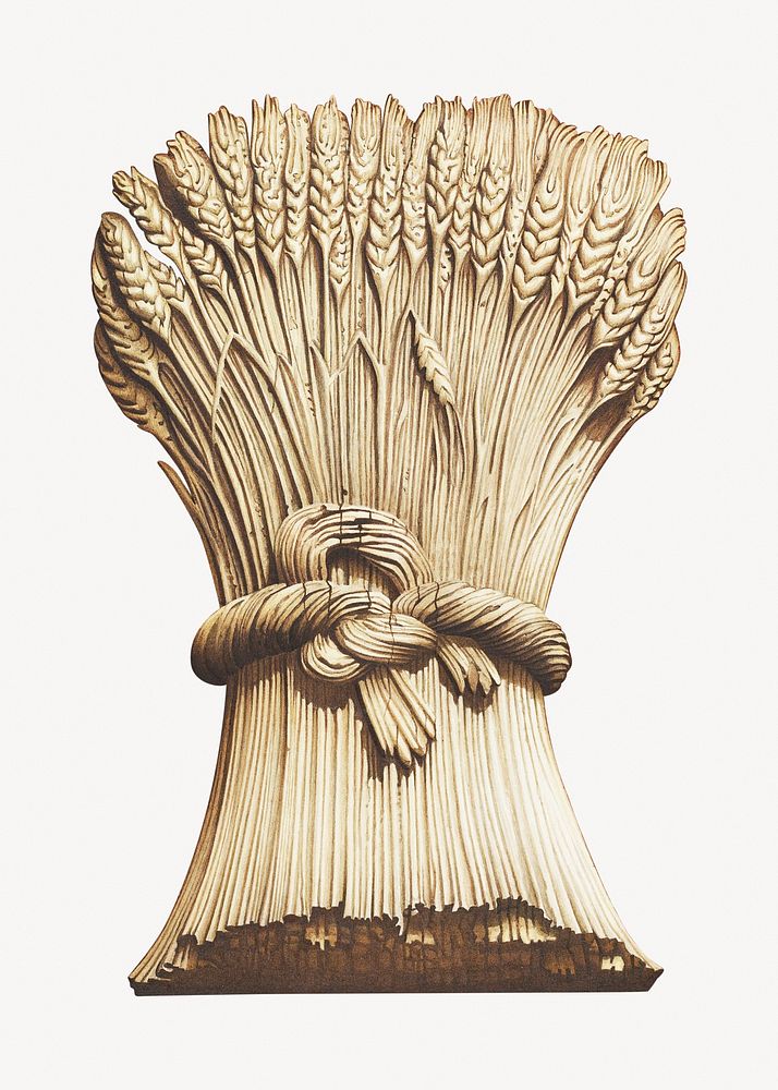 Sheaf of wheat illustration.   Remastered by rawpixel
