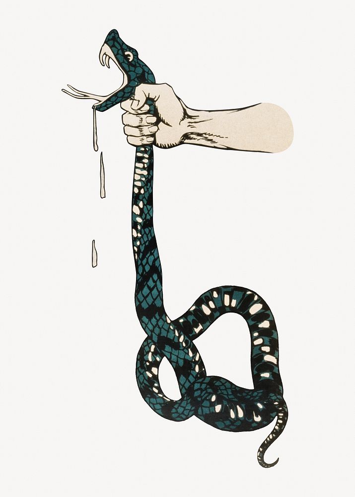 Hand squeezing venomous snake's neck illustration.   Remixed by rawpixel.