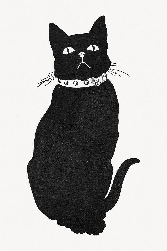 The Black Cat illustration.  Remixed by rawpixel.