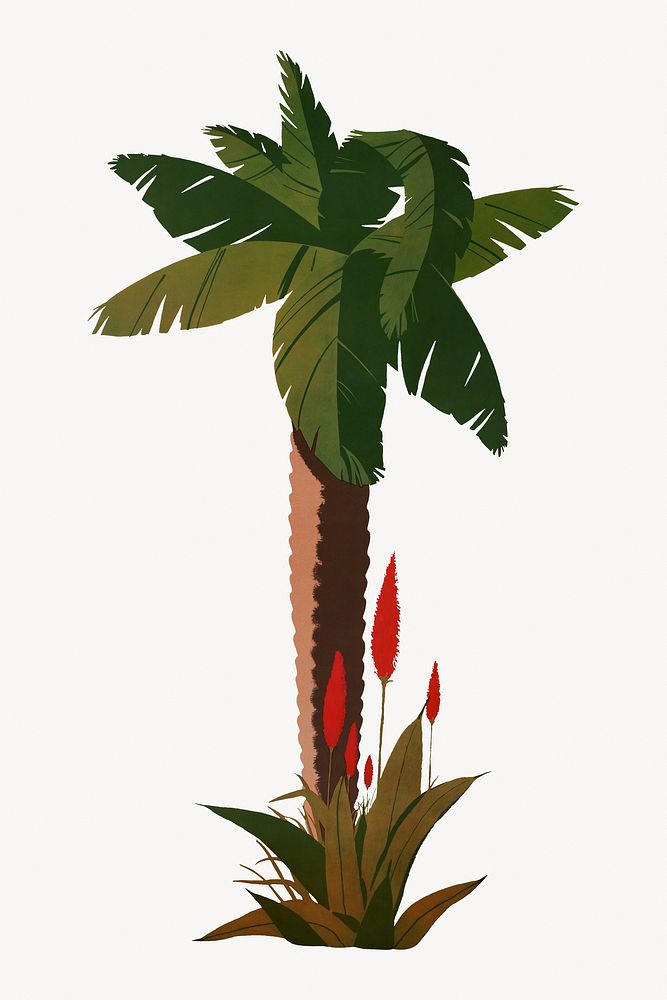 Palm tree, botanical collage element.   Remixed by rawpixel.