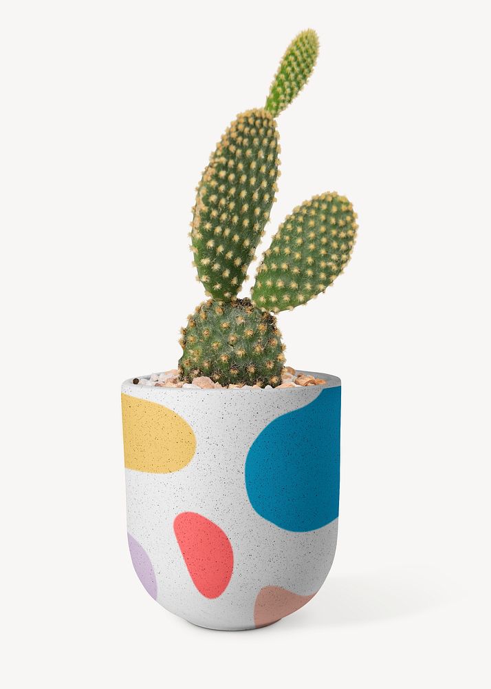 Plant pot mockup with cactus psd