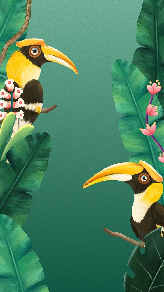 Bird green mobile wallpaper, hornbill drawing design