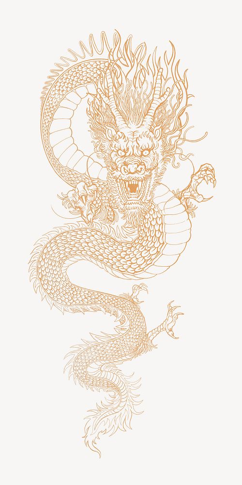 Golden dragon, traditional Chinese animal illustration