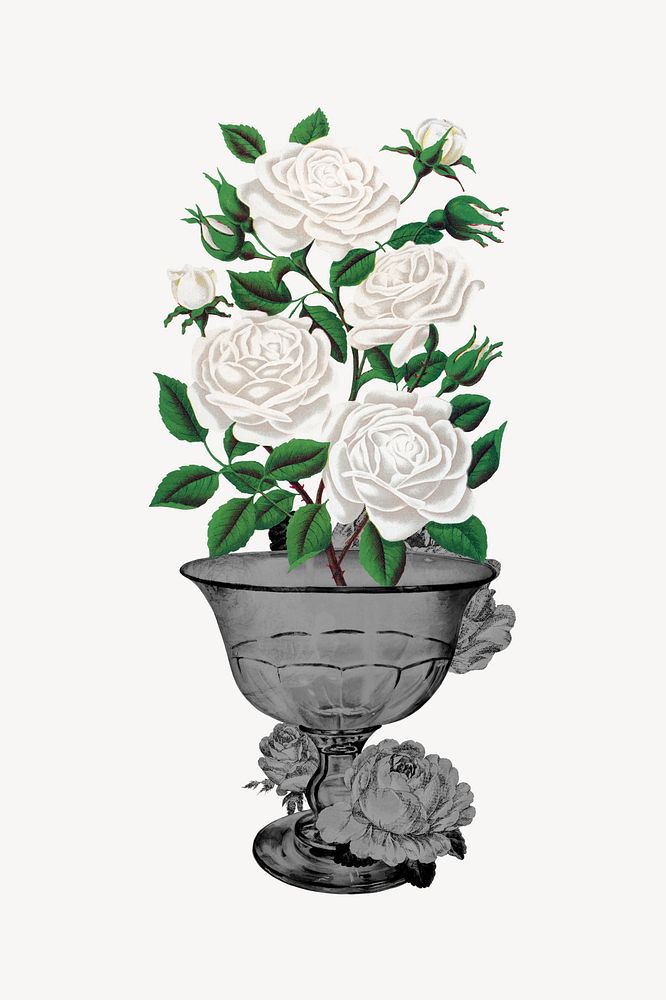 White roses illustration, remixed by rawpixel