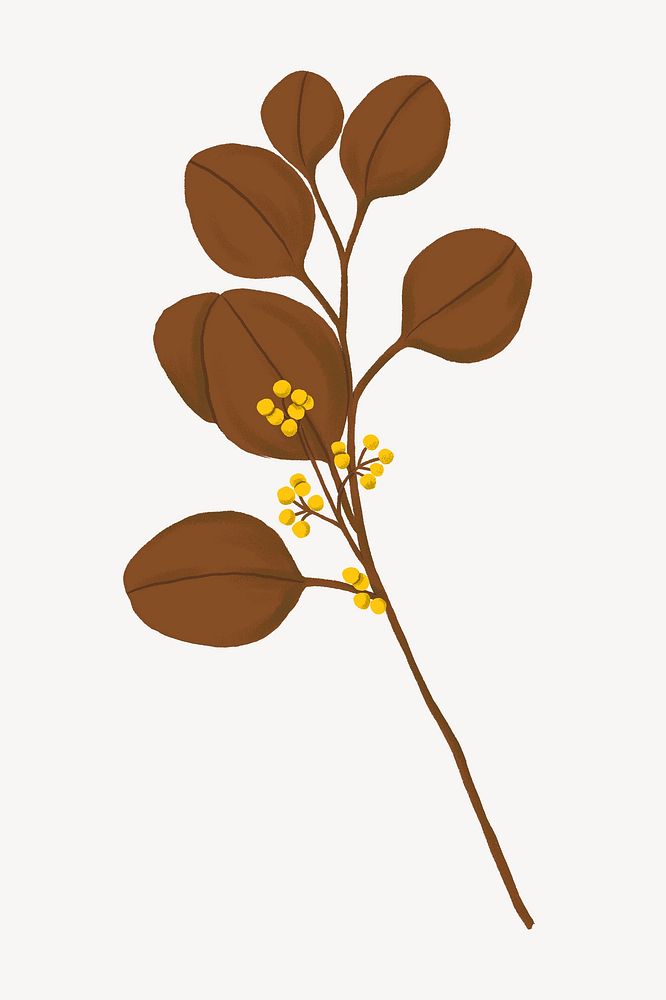 Brown eucalyptus leaf illustration