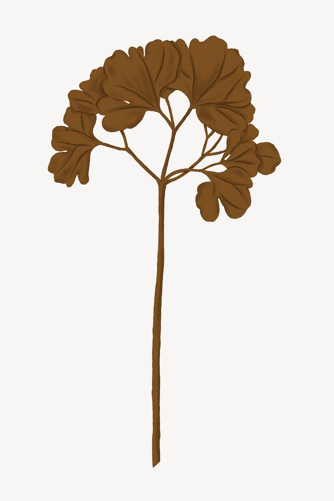 Brown ginkgo leaf illustration