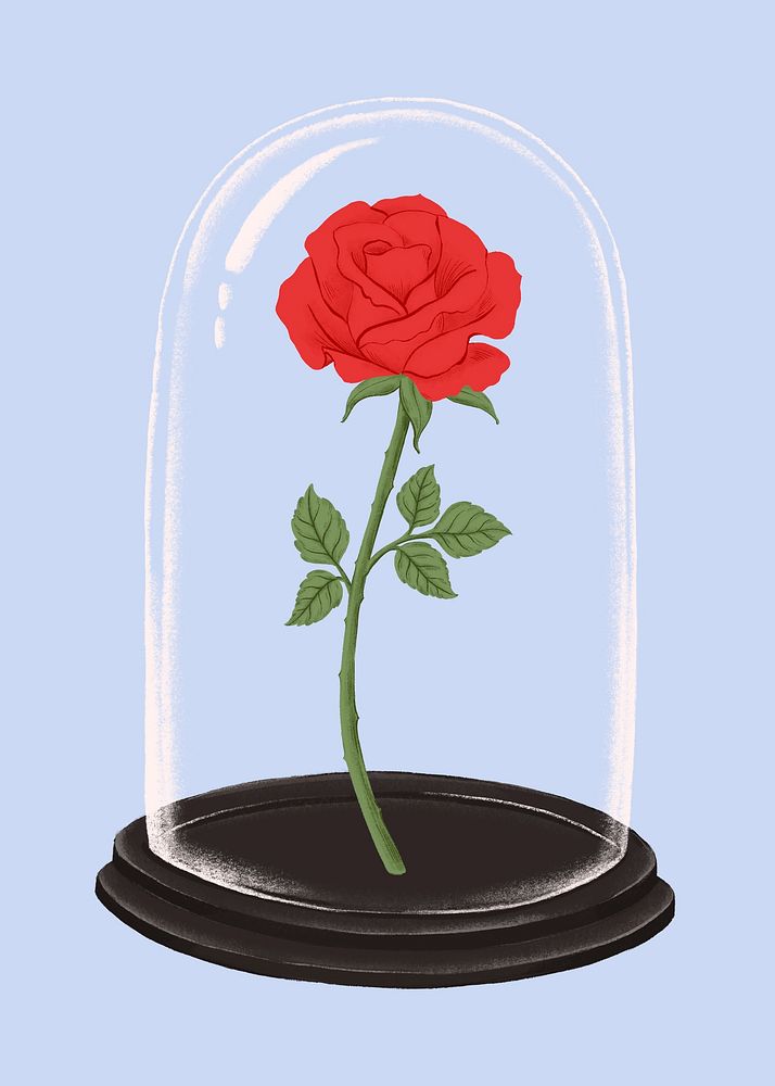 Red rose in glass cloche, Valentine's clipart psd