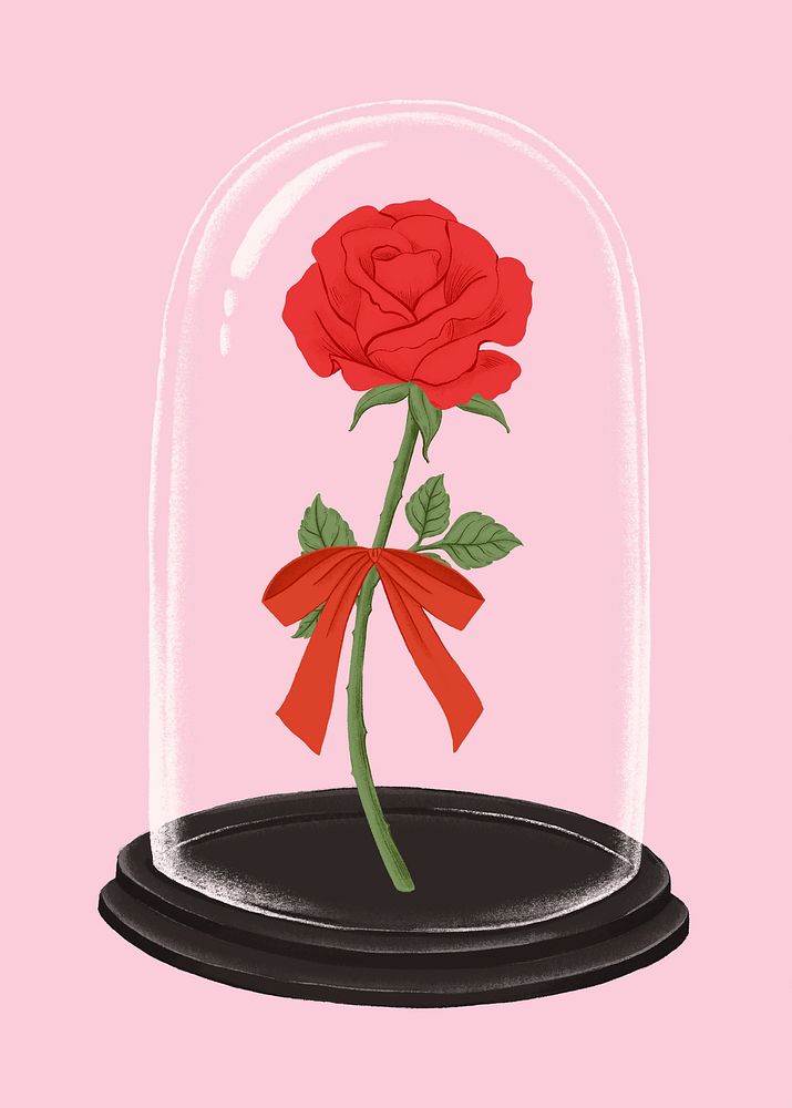 Red rose in glass cloche, Valentine's illustration