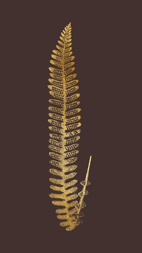 Gold fern leaf illustration