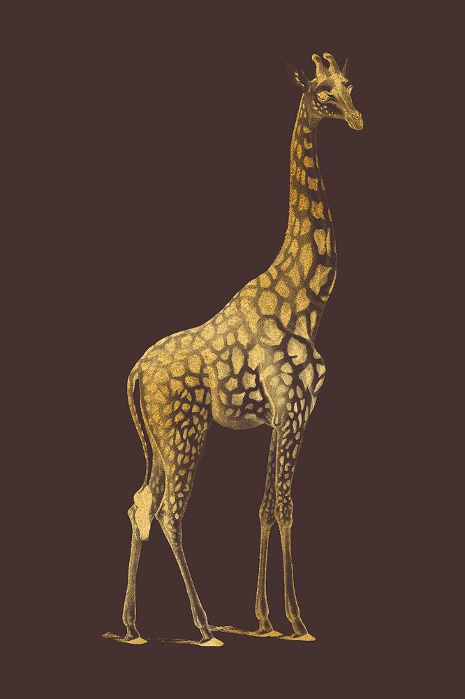 Gold giraffe, vintage animal collage element psd
