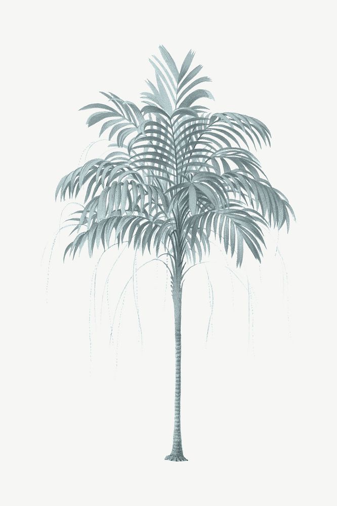 Vintage palm tree clipart psd