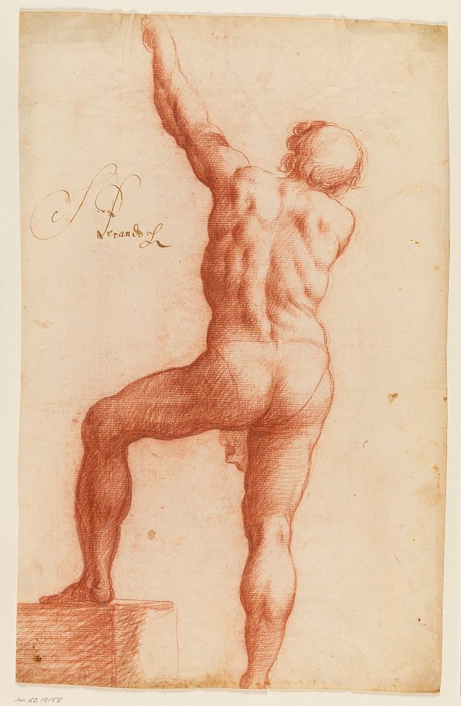 Standing semi-nude male seen from behind with his left arm raised by Filippo Esegrenio