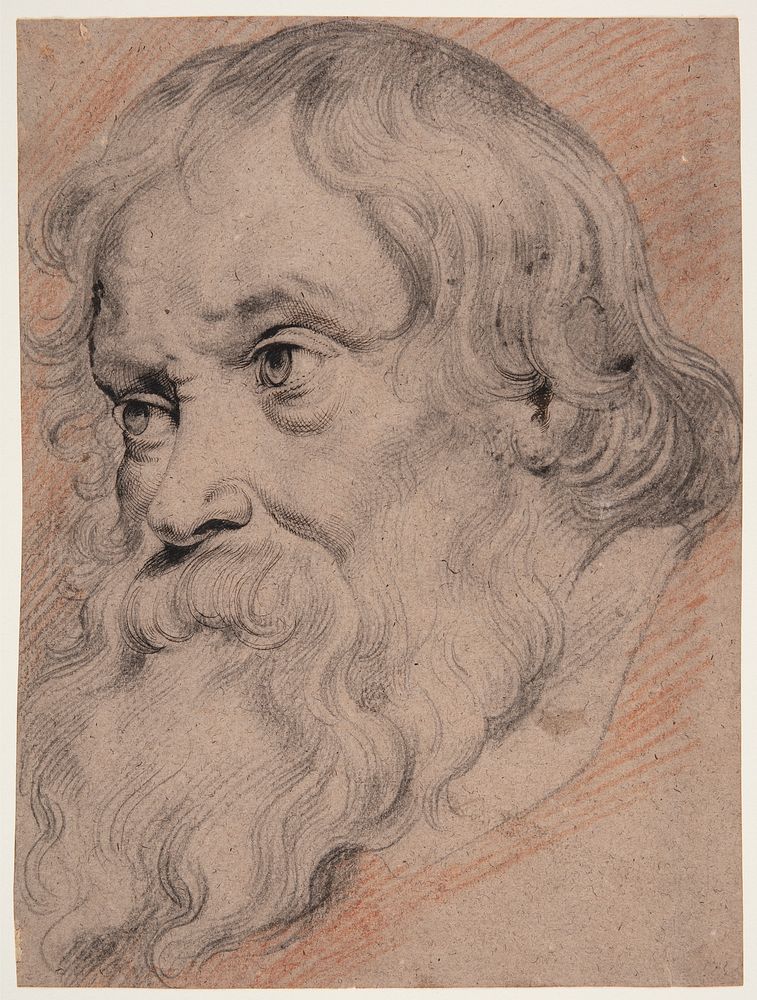 Head of an elderly, bearded man, three-quarter profile t.v.