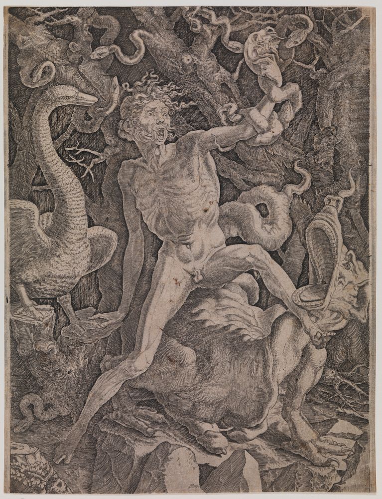 Allegory of anger by Gian Jacopo Caraglio