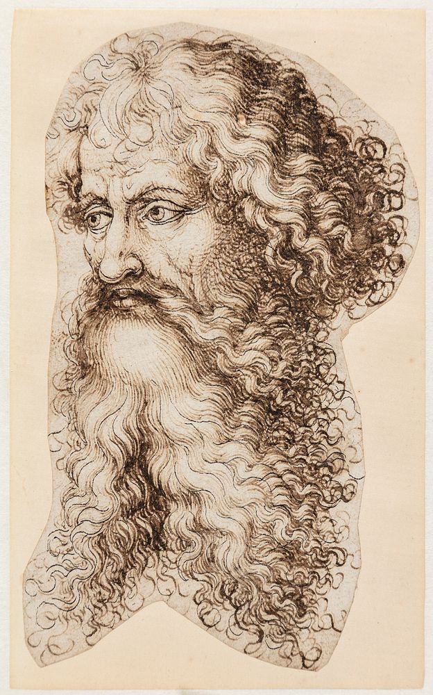 Bearded male head in three-quarter profile to left by Martin Schongauer
