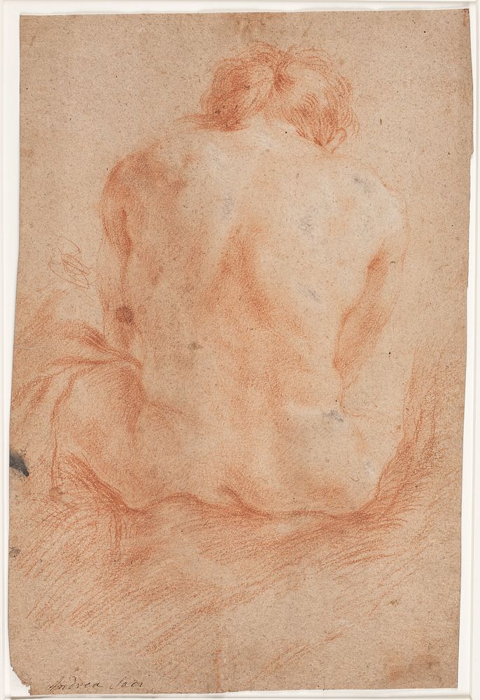 Male model study, seated, rear view by Hendrik Krock