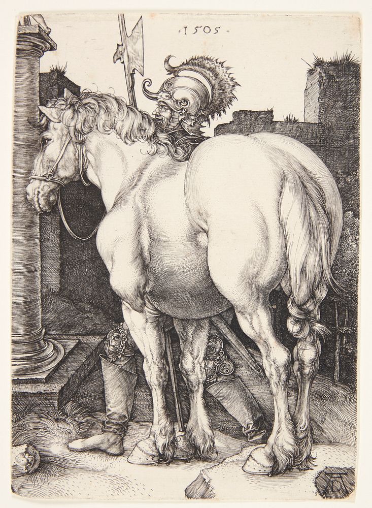 The big horse by Albrecht Dürer