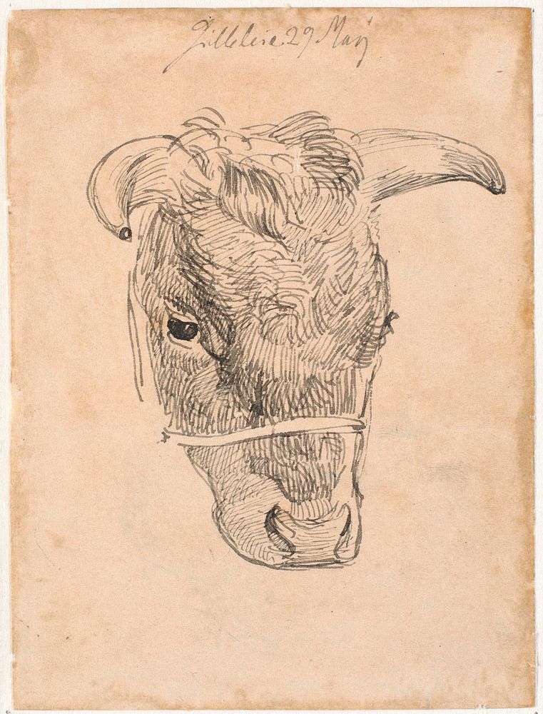 Head of a cow by Johan Thomas Lundbye