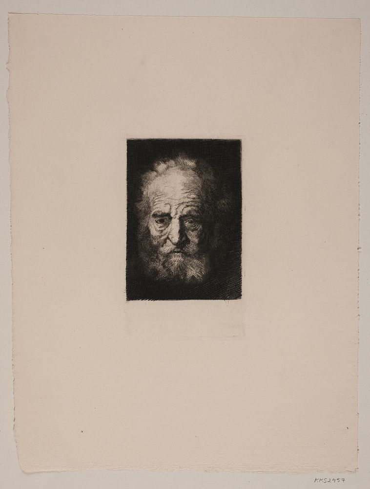 Old man's head. Study after Rembrandt by Rembrandt van Rijn