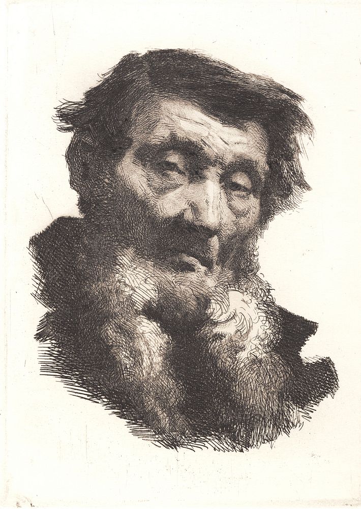 Old man with two-parted gray beard by Frans Schwartz