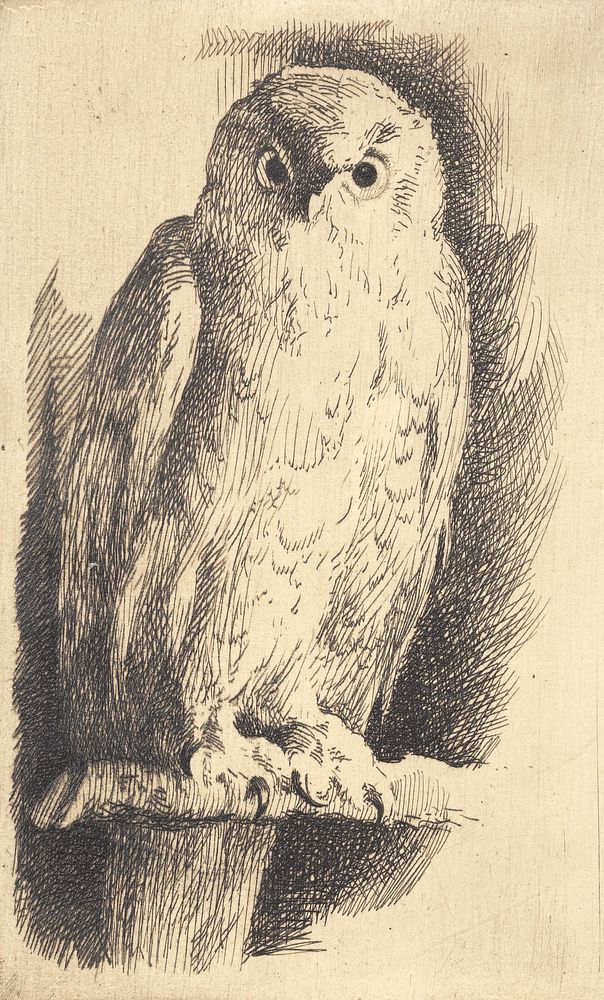 Sample plate: an owl by Frans Schwartz