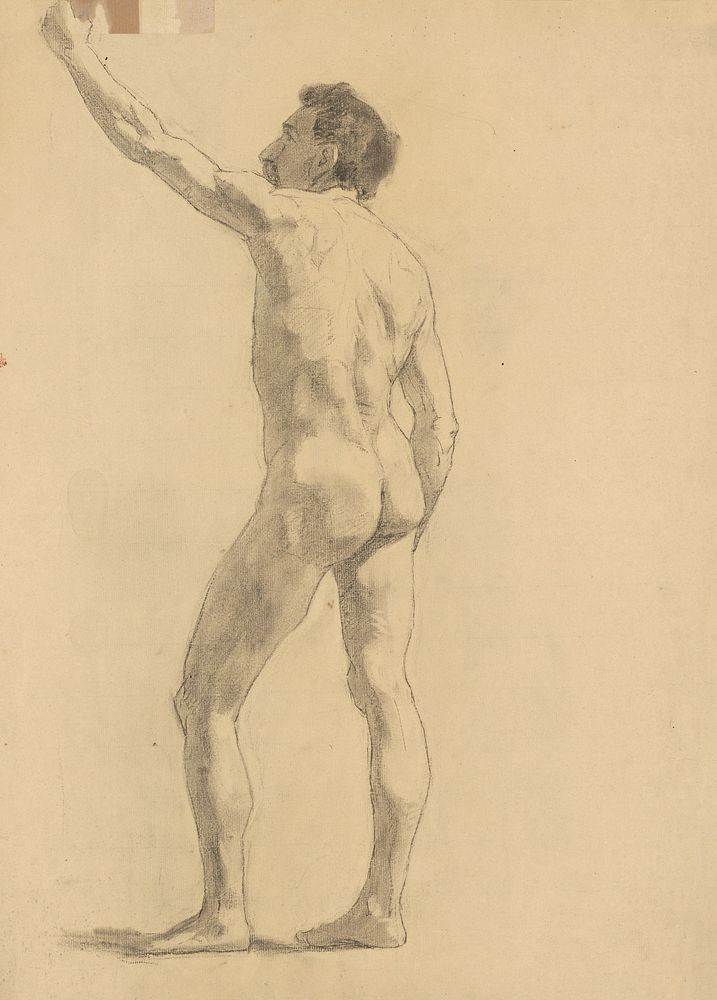 Study of male act